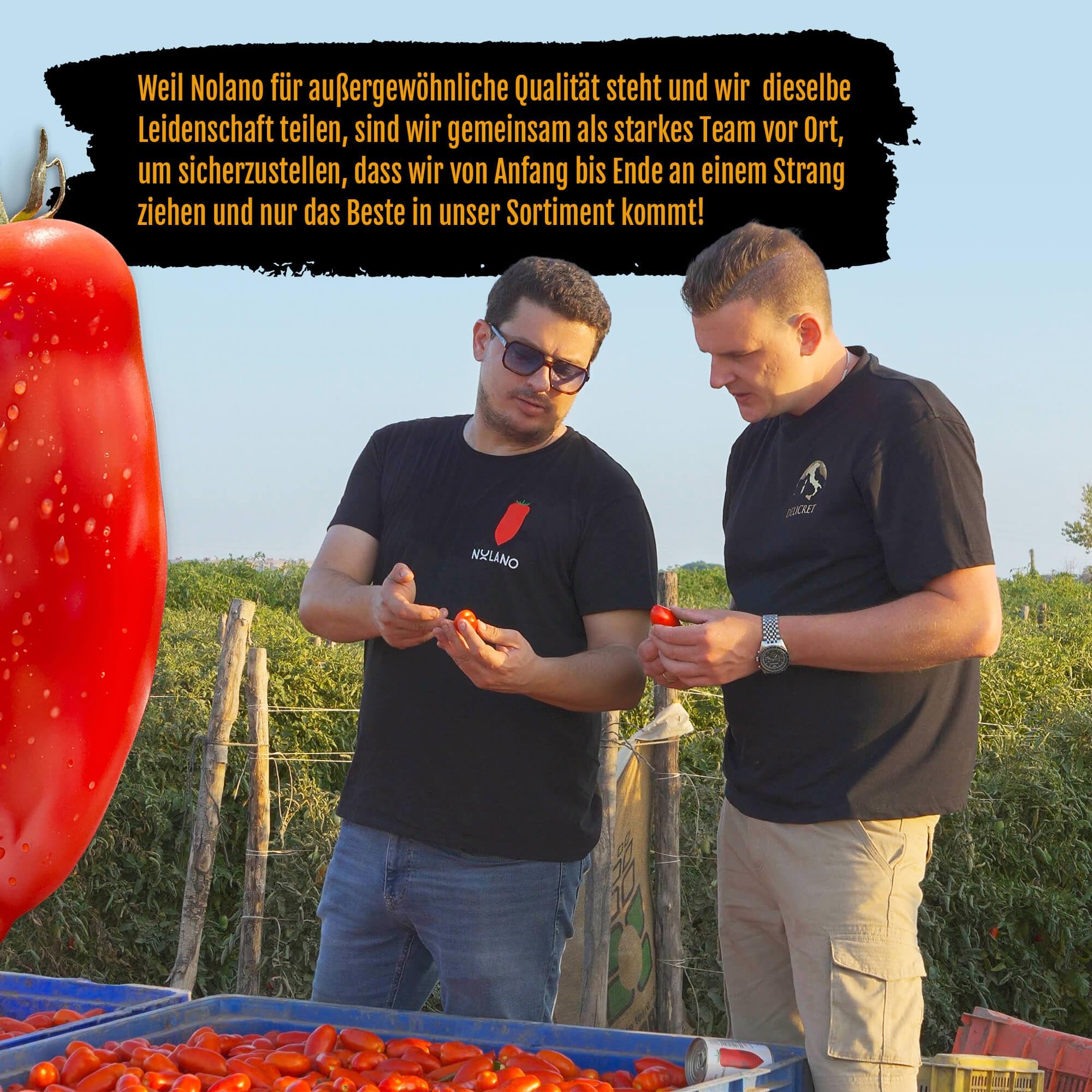 NOLANO San Marzano Tomate Dose DOP ganz & geschält Pizzatomaten 12x 400g