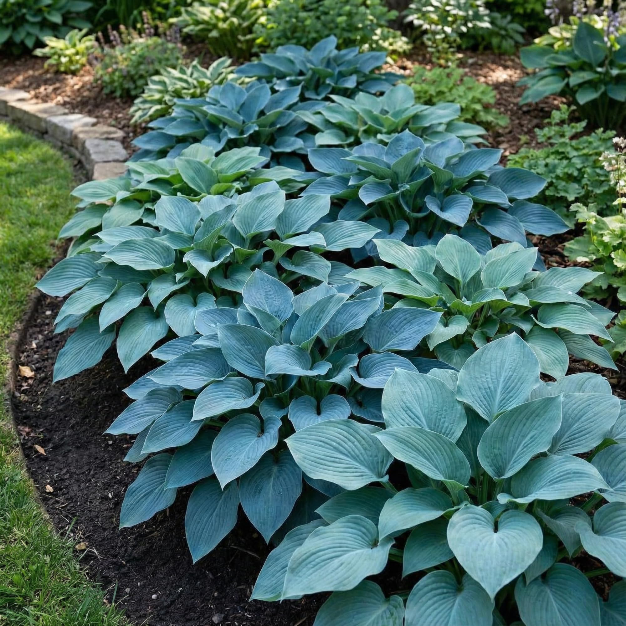 ② Het Ideale Tuinkantoor: model Berlijn - Hoge kwaliteit! - Tuinhuizen