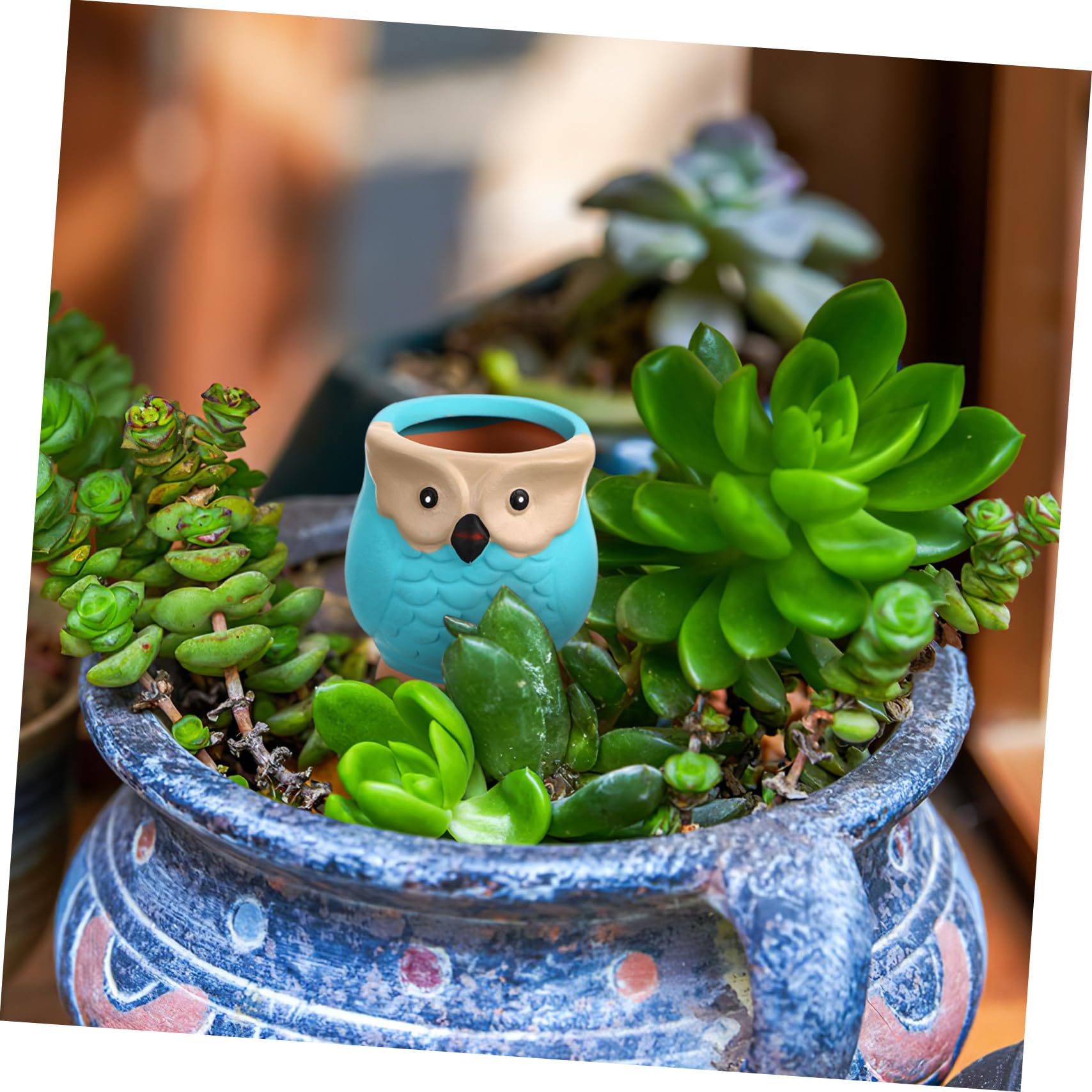 Punti Irrigazione Automatici a Gufo in Ceramica 4 Pezzi per Vasi | Piante in Vaso e Fioriere, Uso Casa e Giardino, Resistente a Usura e Rottura