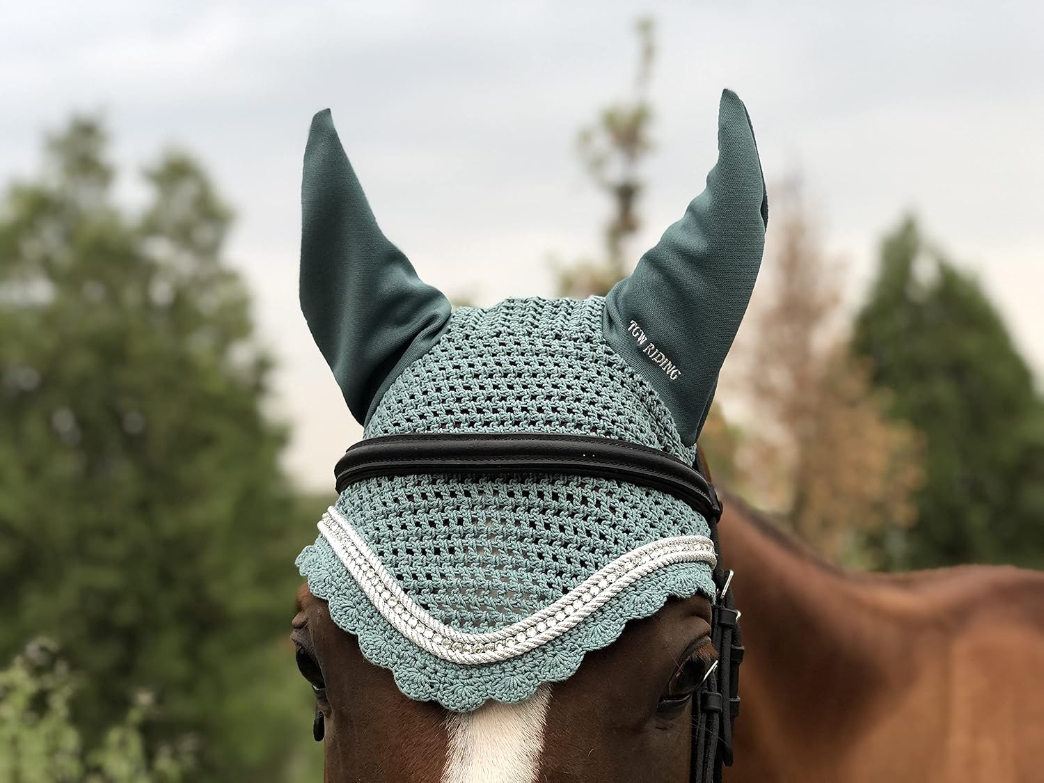 Amazon.com: TGW RIDING Horse Ear Bonnet 