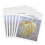 3dRose Washington State, Seabeck. Oregano petals with raindrops. 6 Greeting Cards with envelopes