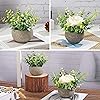 Product Photo 6