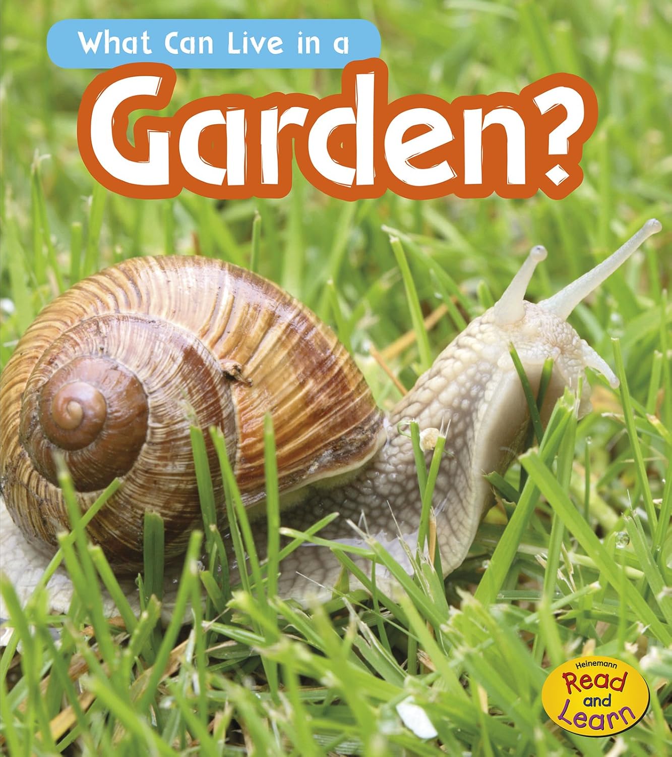Amazon.com: What Can Live in the Garden? (Heinemann Read and Learn ...