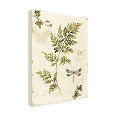 Trademark Fine Art Ivies and Ferns III Wall Decor by Lisa Audit 14 x 19