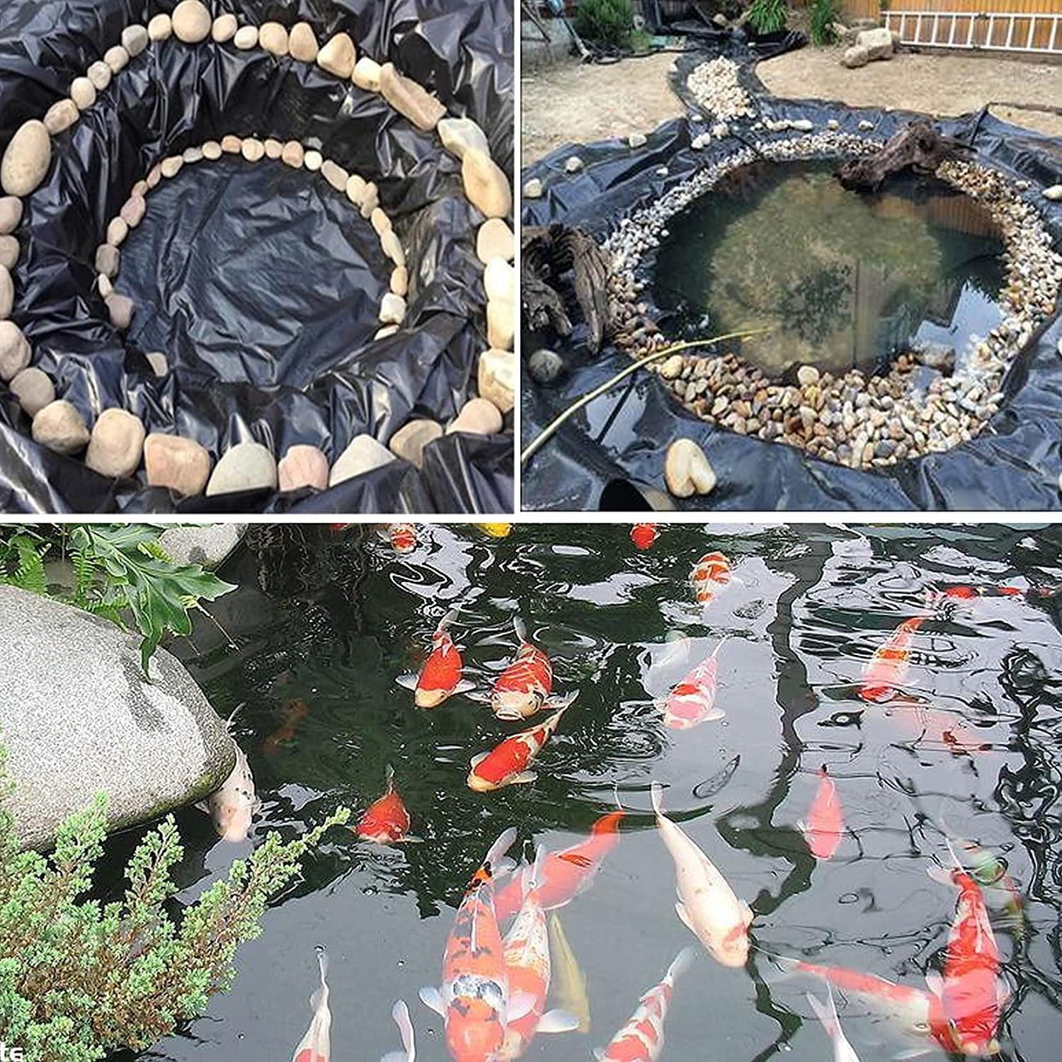 Un Piccolo Stagno Artificiale Nel Giardino Fotografia Stock - Immagine