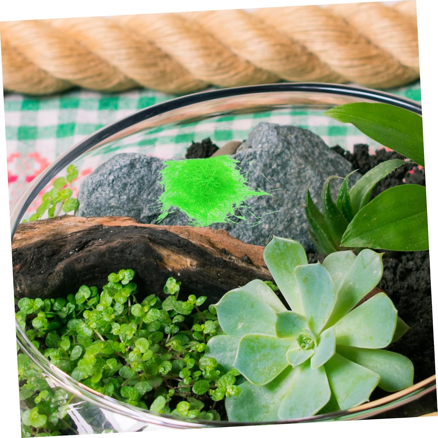 NUOBESTY Lifelike Simulated Moss Decor for Indoor Bonsai Micro Landscapes Floral Moss for Crafts DIY Projects Realistic Faux Greenery for Home Garden Decoration
