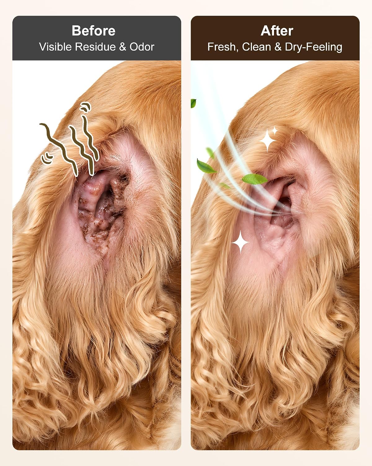 Dog Ear Cleaner for Floppy Ears & Long-Eared Breeds, Deodorizing Ear Cleaning Solution, Helps Keep Ears Dry After Swimming, Bath & Rainy Walks, Gentle Daily Ear Care for Dogs