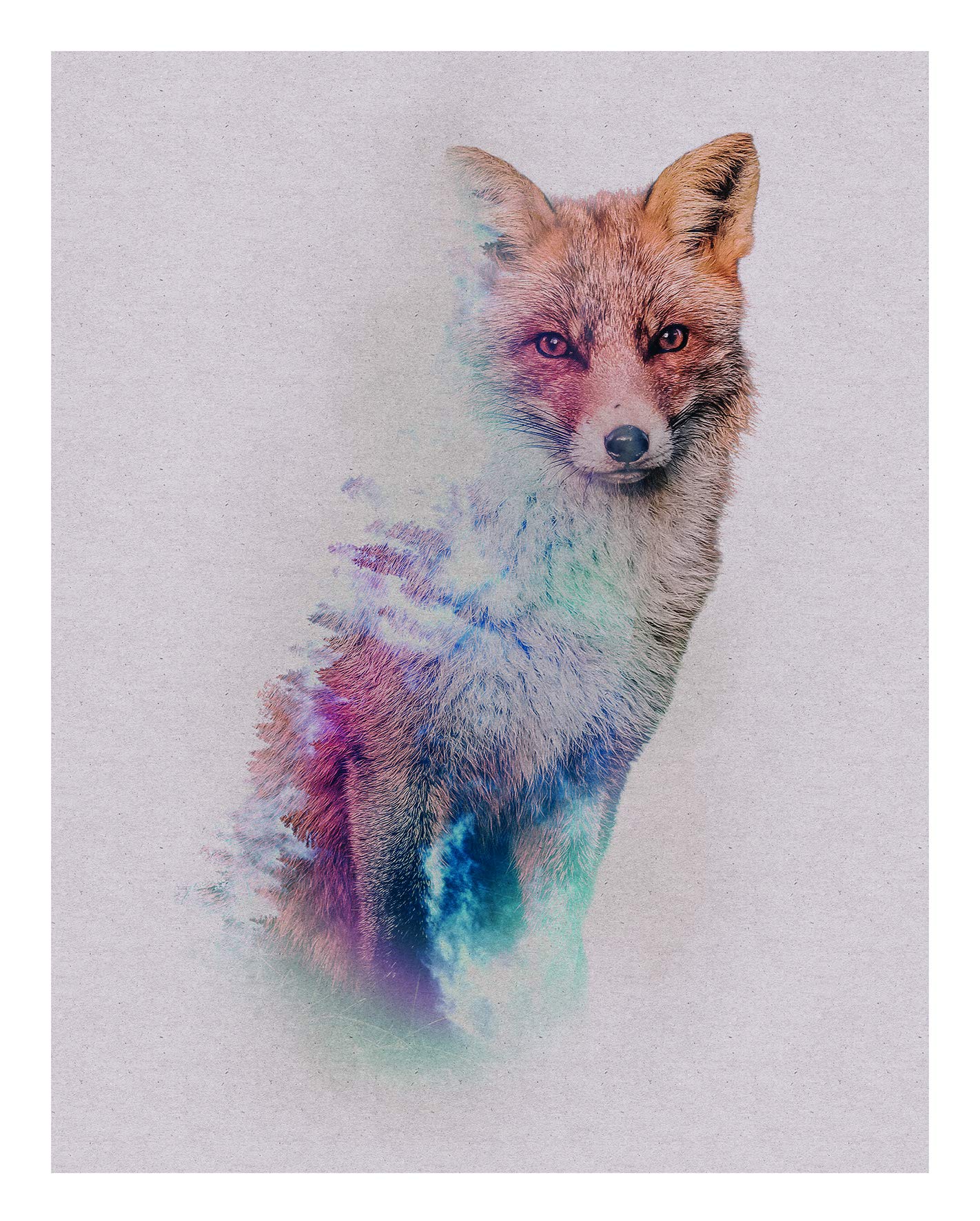 Komar Wall Picture | Animals Forest Fox | Poster Picture Living Room Bedroom Decoration Art Print | No Frame | P084B-40x50 | Size: 40x50 cm (Width x Height)