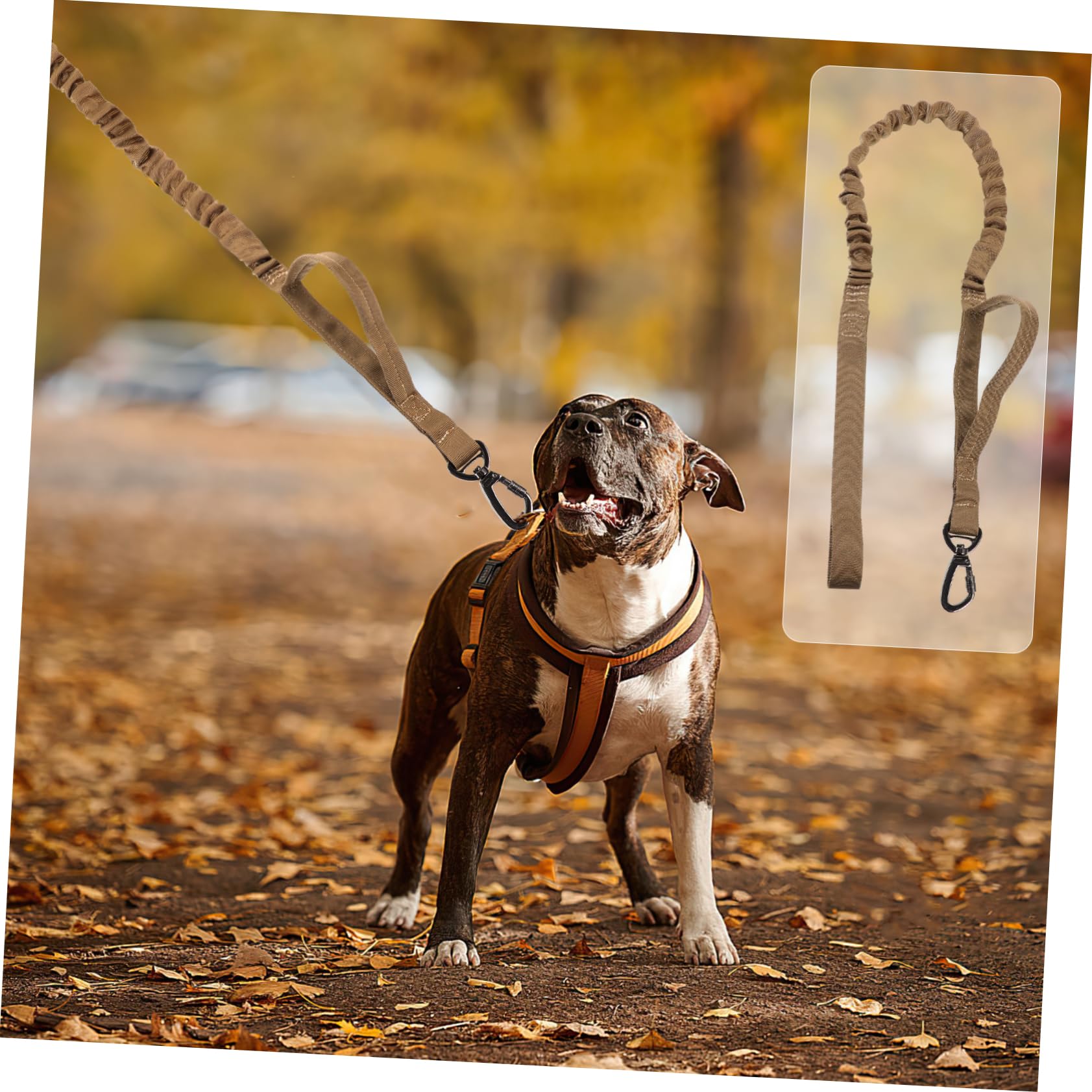 Sosoport 3pezzi Guinzaglio Regolabile Per Cani Nylon Elasticizzato Design Per Addestramento Resistente e Confortevole Da Impugnare Per Passeggiate e Addestramento Cani