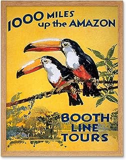 Wee Blue Coo Amazon Toucan River Brazil South America Jungle Rain Forest Vintage Art Print Framed Poster Wall Decor 12x16 inch