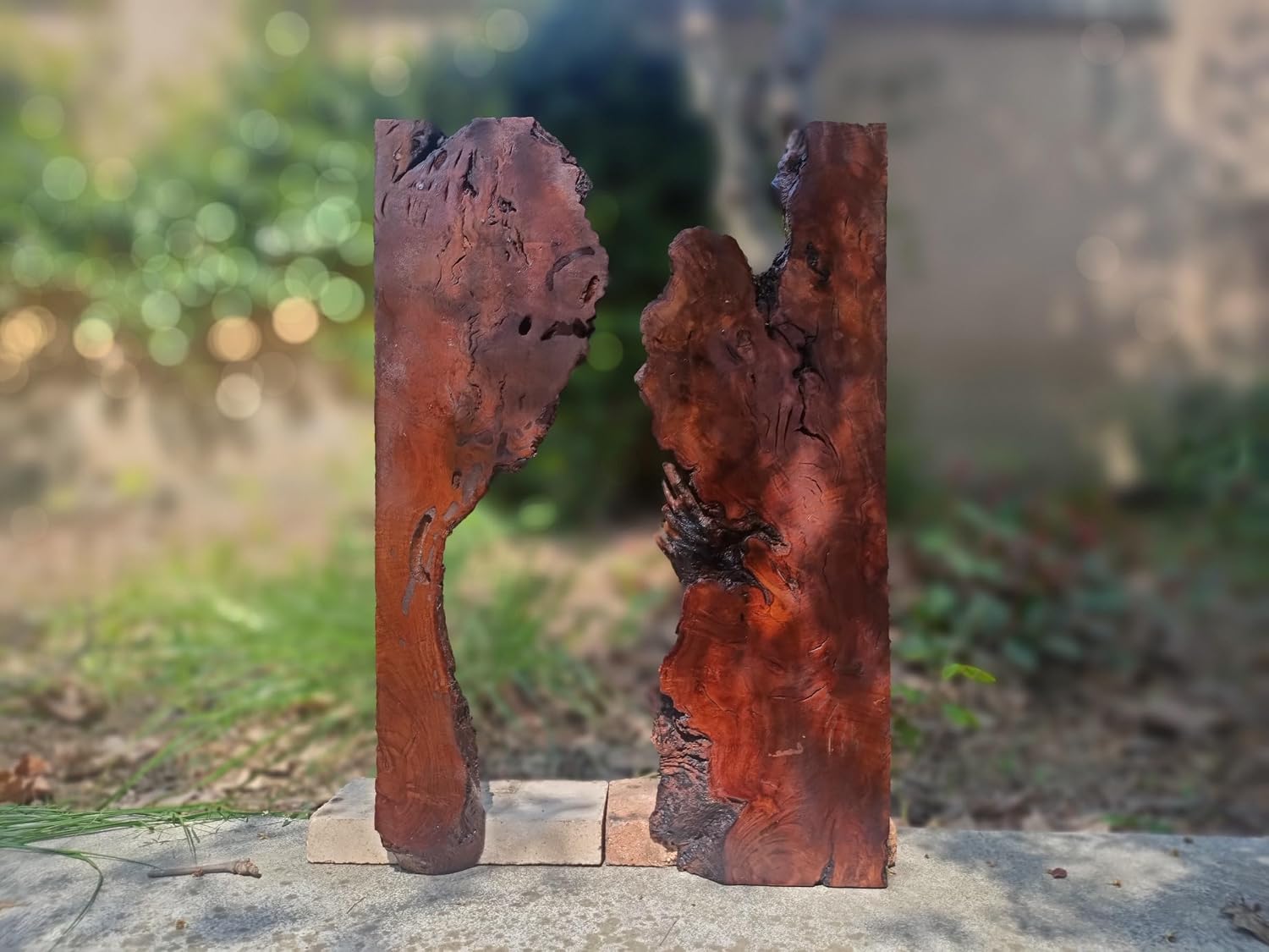 Live Edge Brown Red Olive Wood Slab for DIY and Epoxy River Table, Ready to be Resin Table, Cleared Varnished Wood Slab for Epoxy Resin Project (Brown)