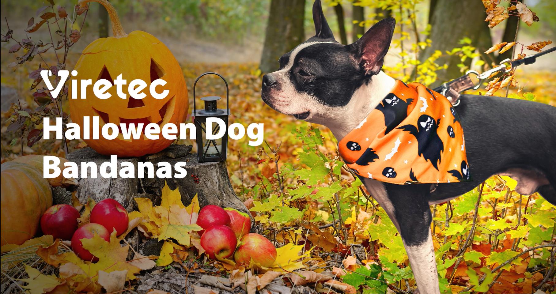 2Pcs Halloween Dog Bandanas - Ghost & Pumpkin Bat Pattern, Adjustable Pet Scarf For Medium/Large Dogs