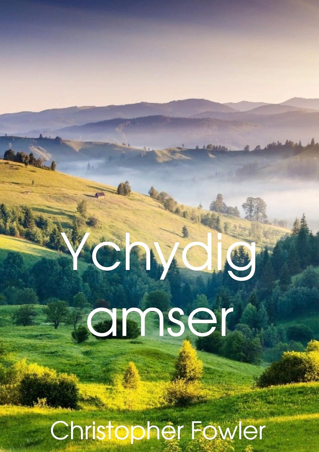 Ychydig amser (Welsh Edition)