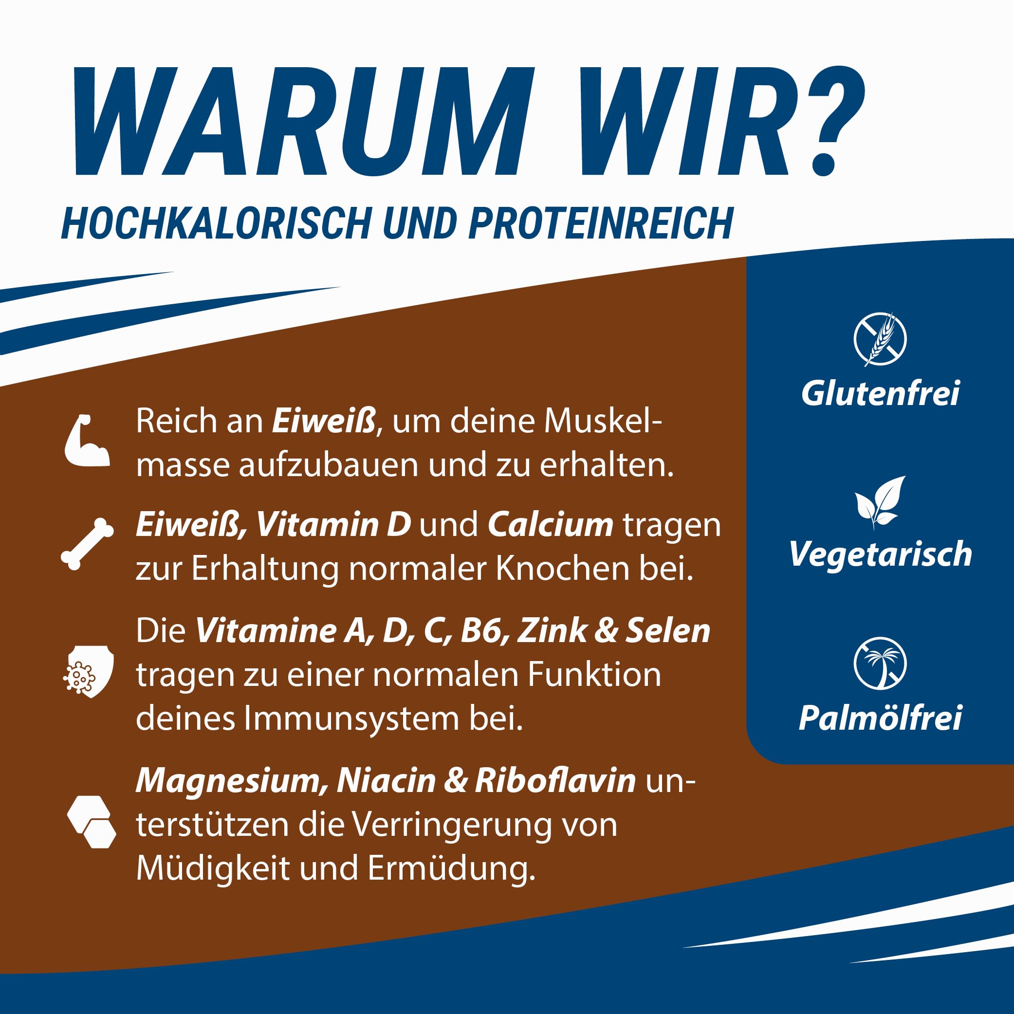 all in® COMPLETE Protein Drink Schokolade 14x 200ml - Hochkalorische Trinknahrung auf Milch-Basis | Mehrkomponenten Protein Shake Mahlzeit zur schnellen Gewichtzunahme
