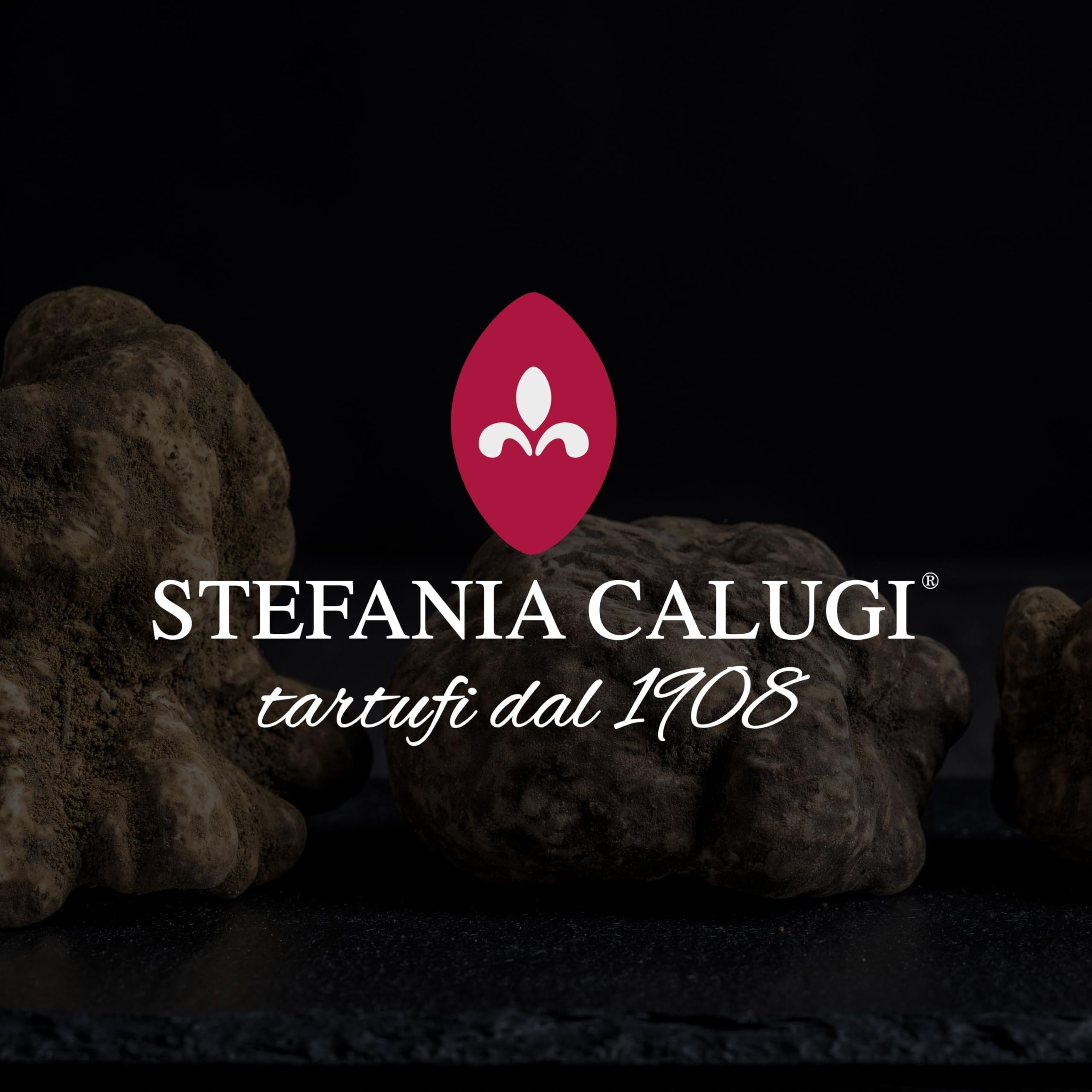 Stefania Calugi - Crema Tartufata Nera 500g – Salsa al Tartufo Pronta Gourmet | Condimento per Pasta – Made in Italy – Senza Glutine – Ricetta Pluripremiata (Box da 6pz, Crema Tartufata Nera)