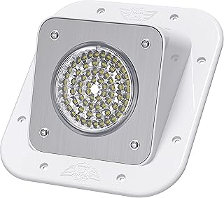 Leisure LED RV Exterior Surface Mount Flood Porch Utility Light - White 12v 1100 Lumen Lighting Fixture Replacement Lighting for Weekend Warrior RVs, Trailers, Campers, 5th Wheels (White)