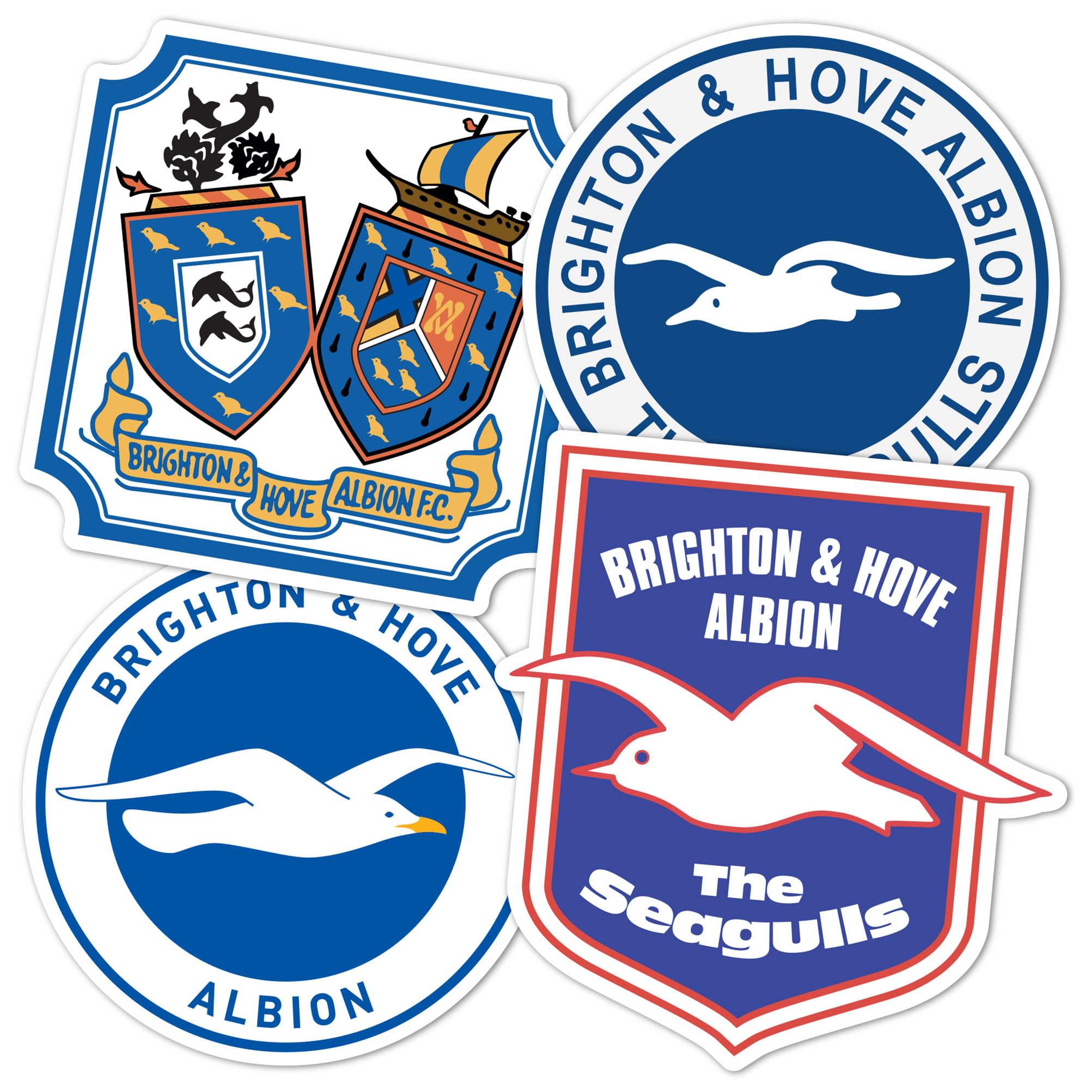 Amazon.com: Desert Cactus Brighton & Hove Albion Sticker BHAFC