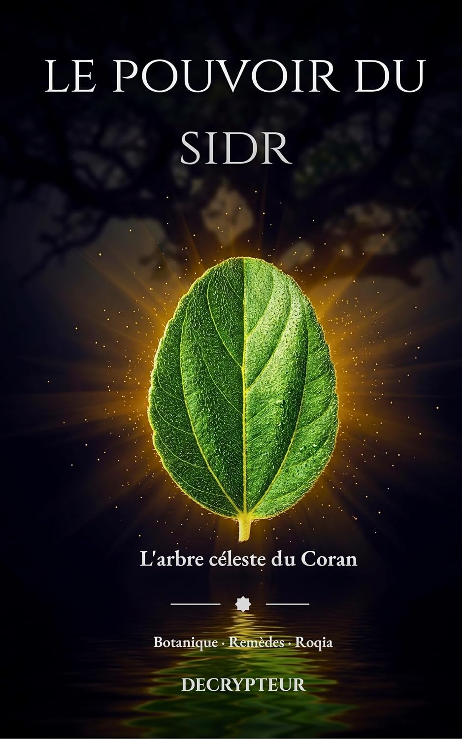 LE POUVOIR DU SIDR: L'arbre celeste du coran (French Edition)      Kindle Edition