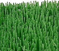 Vista 6 de Instincts by SmartyKat - Juego de 2 alfombrillas de papel para gatos Meadow Mayhem Hide & Seek, color verde, paquete de 2