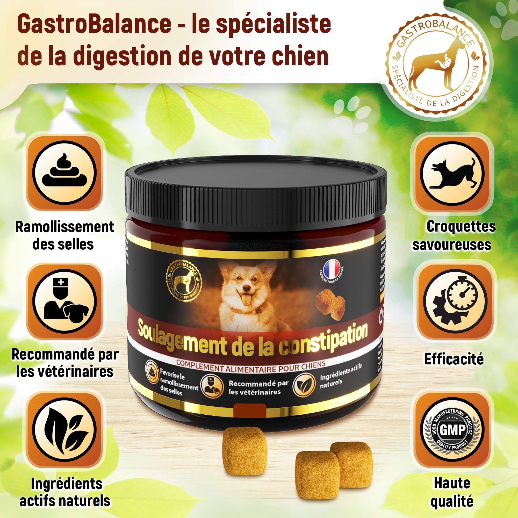 soulagement Constipation Chien - 60 croquettes laxatives adoucissant selles de Chiens - goût Bacon (Francais)
