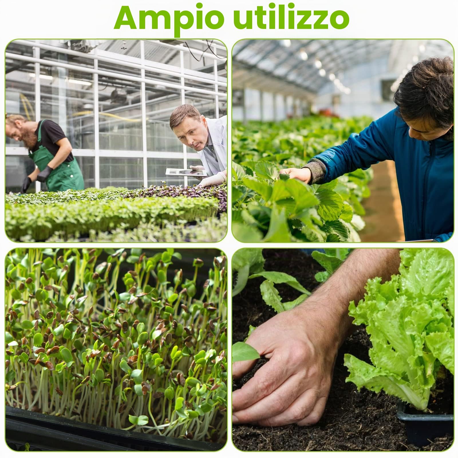 JMIATRY 12 Pezzi Germogliatore 26,9 x 26,9 x 3,6 cm, Semenzaio Germinazione, Vassoio Germinazione per piante vasi in giardino serra idroponica