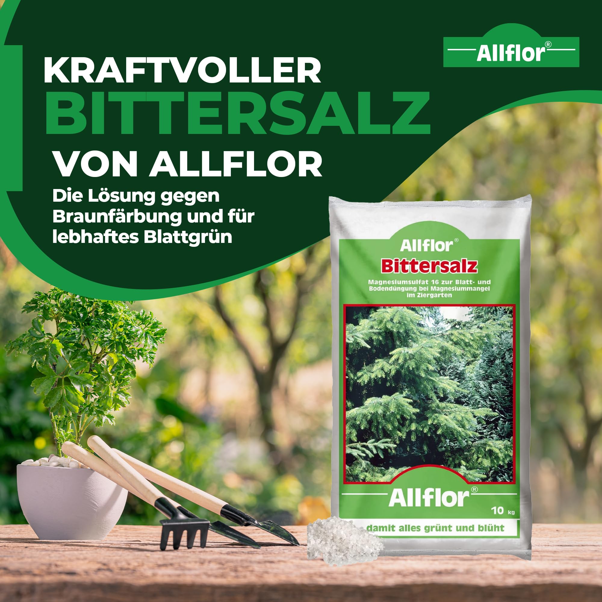 Allflor Bittersalz mit 16% Magnesium I 1 x 10 Kg I Bittersalz gegen Braunfärbung an Nadelbäumen und Hecken I Salzdünger für Blattgrünbildung I Zur Blatt- und Bodendüngung