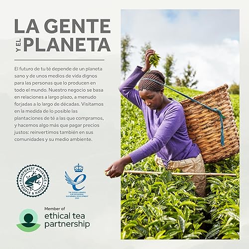 Miniatura 6 de Taylors of Harrogate Yorkshire Tea Decaf 160 bolsas de té