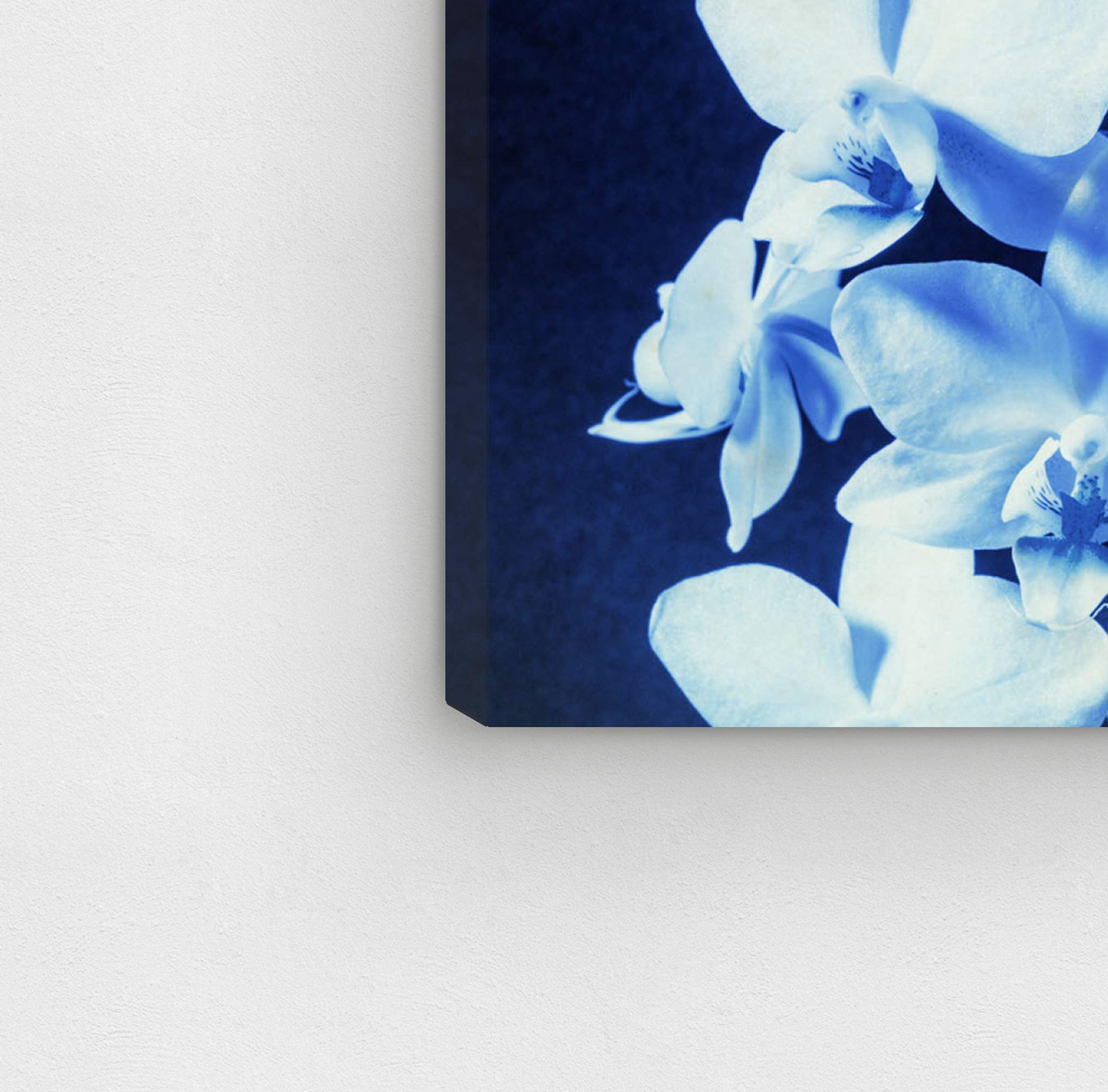 最終値下げ】シャンデリアアート Oliver Gal 最終値下げ Oliver Gal