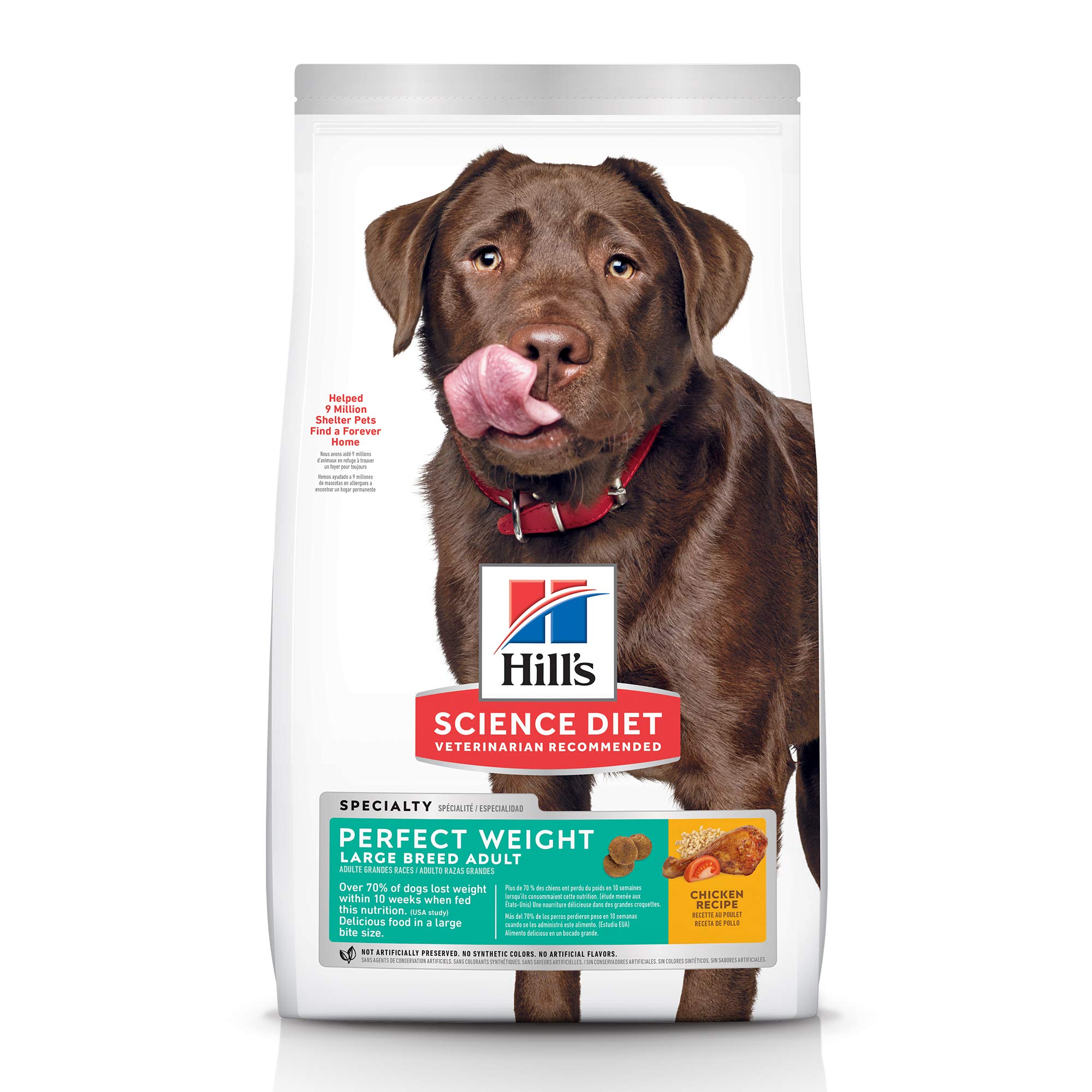hill's science diet adult large breed dry dog food