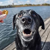 Vista 8 de Pet 'n Shape Chik 'n Rice Balls - Golosinas para perros - 1 libra