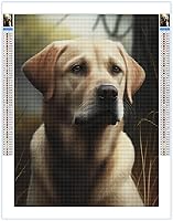 Vista 1 de Kits de pintura de diamantes para adultos, kit de pintura de diamante redondo con taladro completo 5D, kits de pintura de diamantes de bricolaje