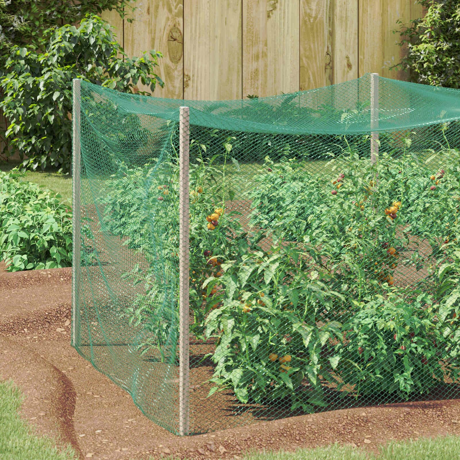 Vogelschutznetz Grün Polyethylen, 2 x 10 m, vielseitiges Gartennetz für Pflanzenschutz, Wetterbeständig, Innen- und Außenbereich, beeinfusst Schutz und Dekoration im Beet