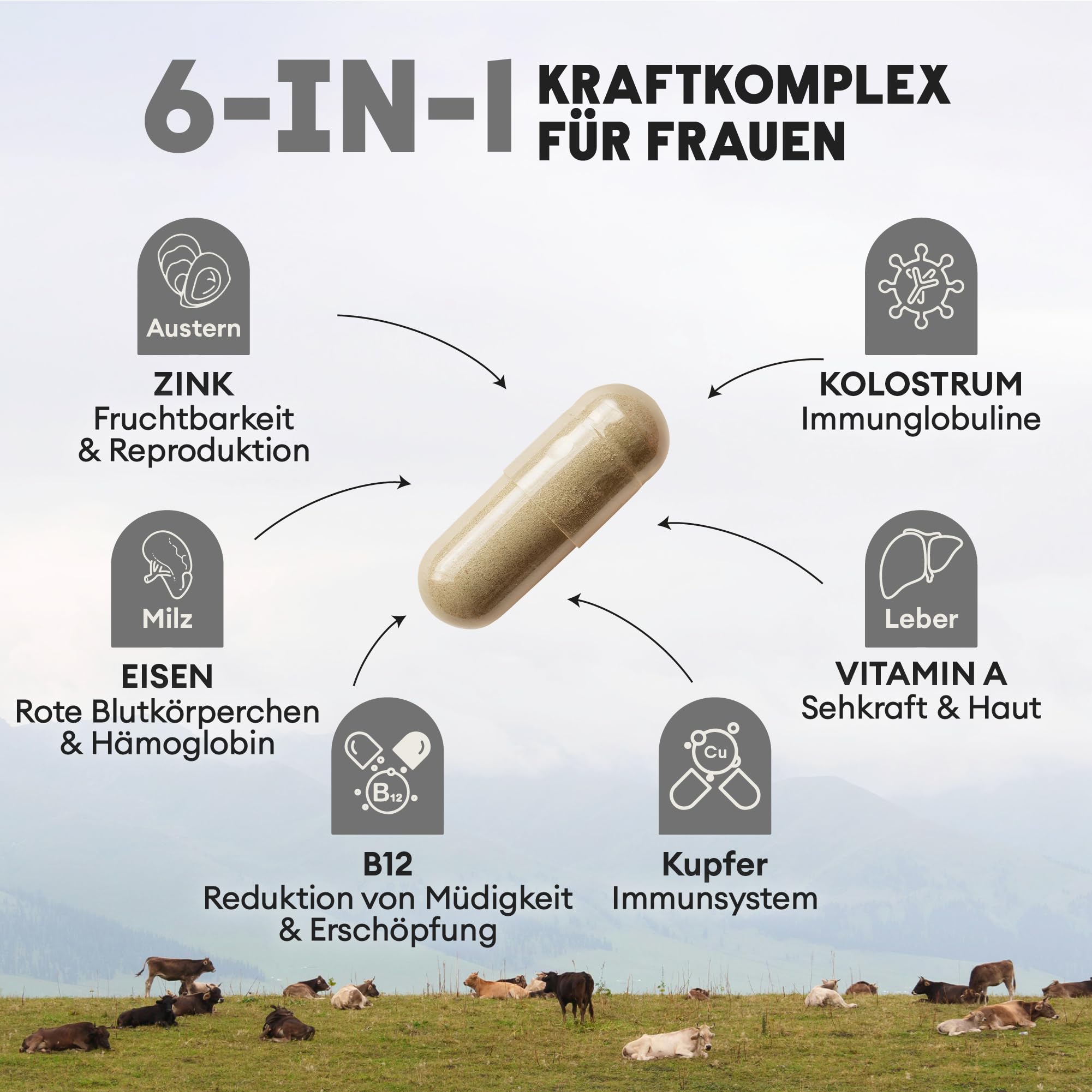 Nutriest Austernextrakt & Colostrum Kapseln für Frauen (240 Stück) – Mit Milz & Rinderleber | EU-Weidehaltung | Für Fruchtbarkeit, Reproduktion & Energie