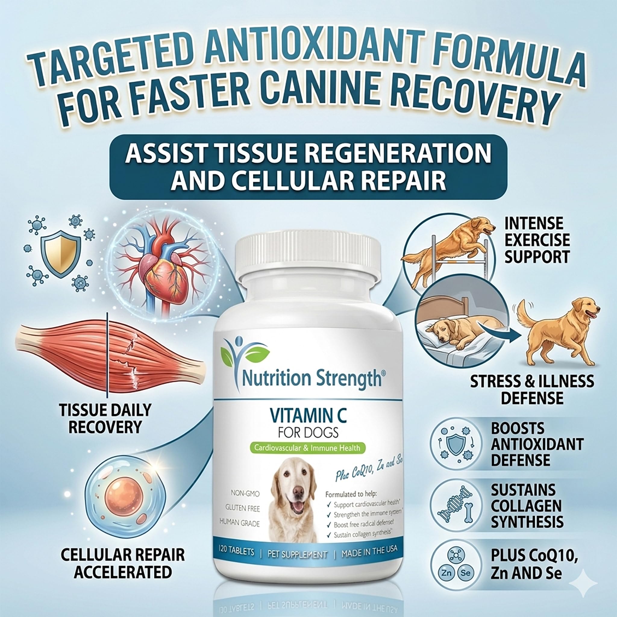 Vitamin C for Dogs to Support Cardiovascular Health, Help Strengthen the Immune System, Boost Free Radical Defenses and Sustain Collagen Synthesis, 120 Chewable Tablets — Amazon image 6