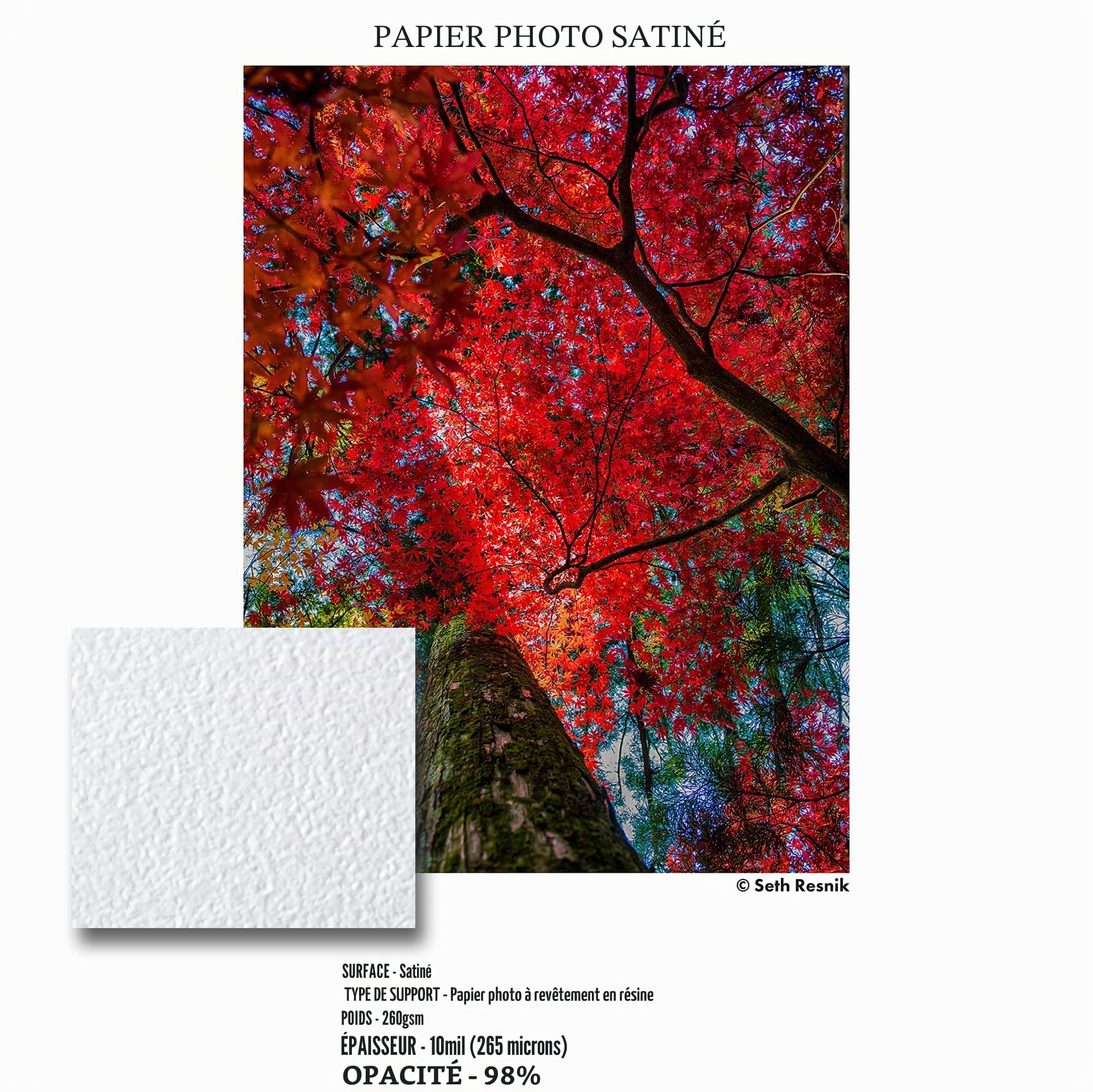 Ilford Galerie Lustre Satiné Feuilles de Papier Photographique, 260g, A3+, 25 Feuilles