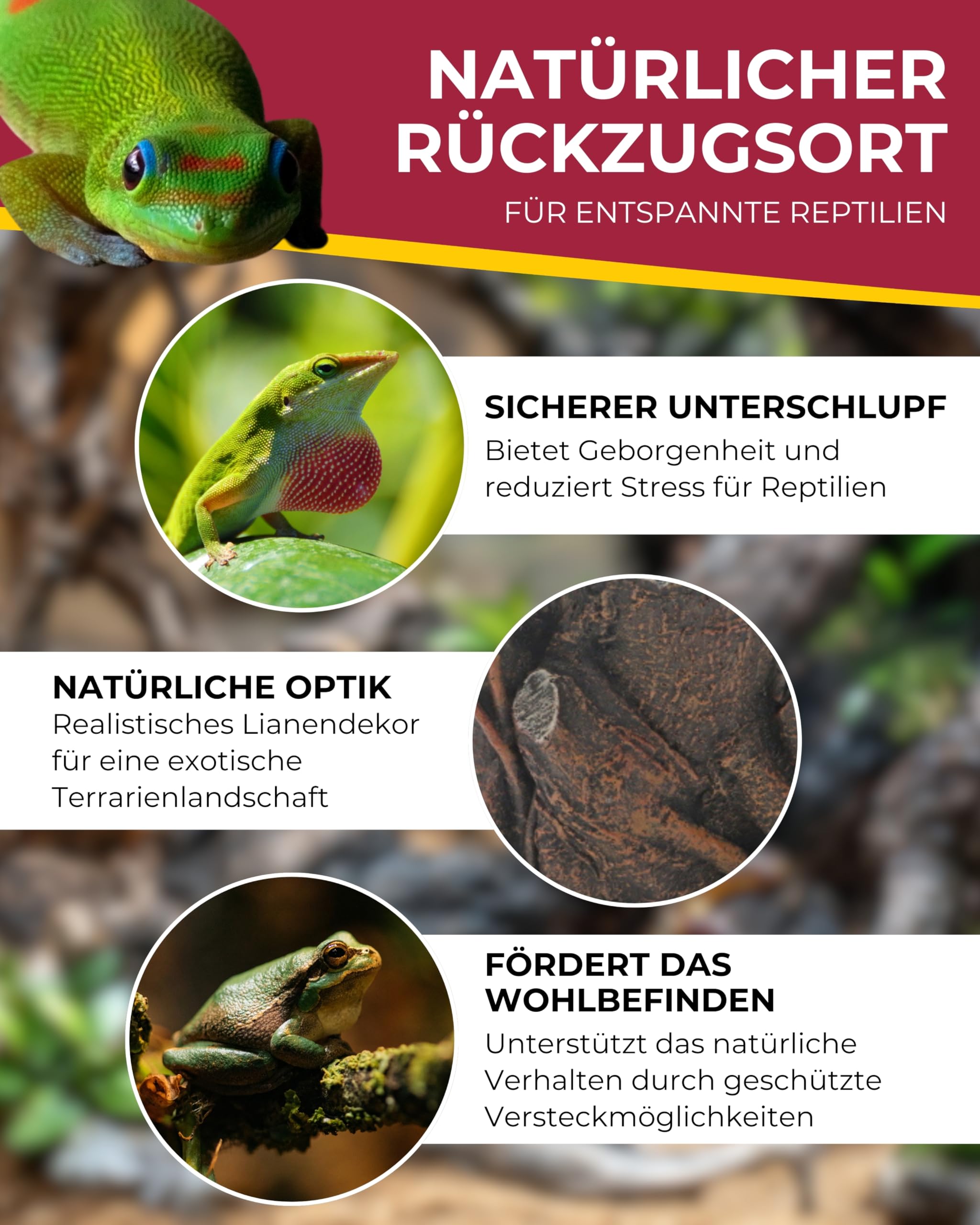 Hobby Terraristik Liana Corner L I 21 x 16,5 x 7,5 cm I naturnahe Versteckmöglichkeit für Reptilien und Amphibien I Rückzugsort für Terrarientiere I dekorative Versteckhöhle für Terrarien