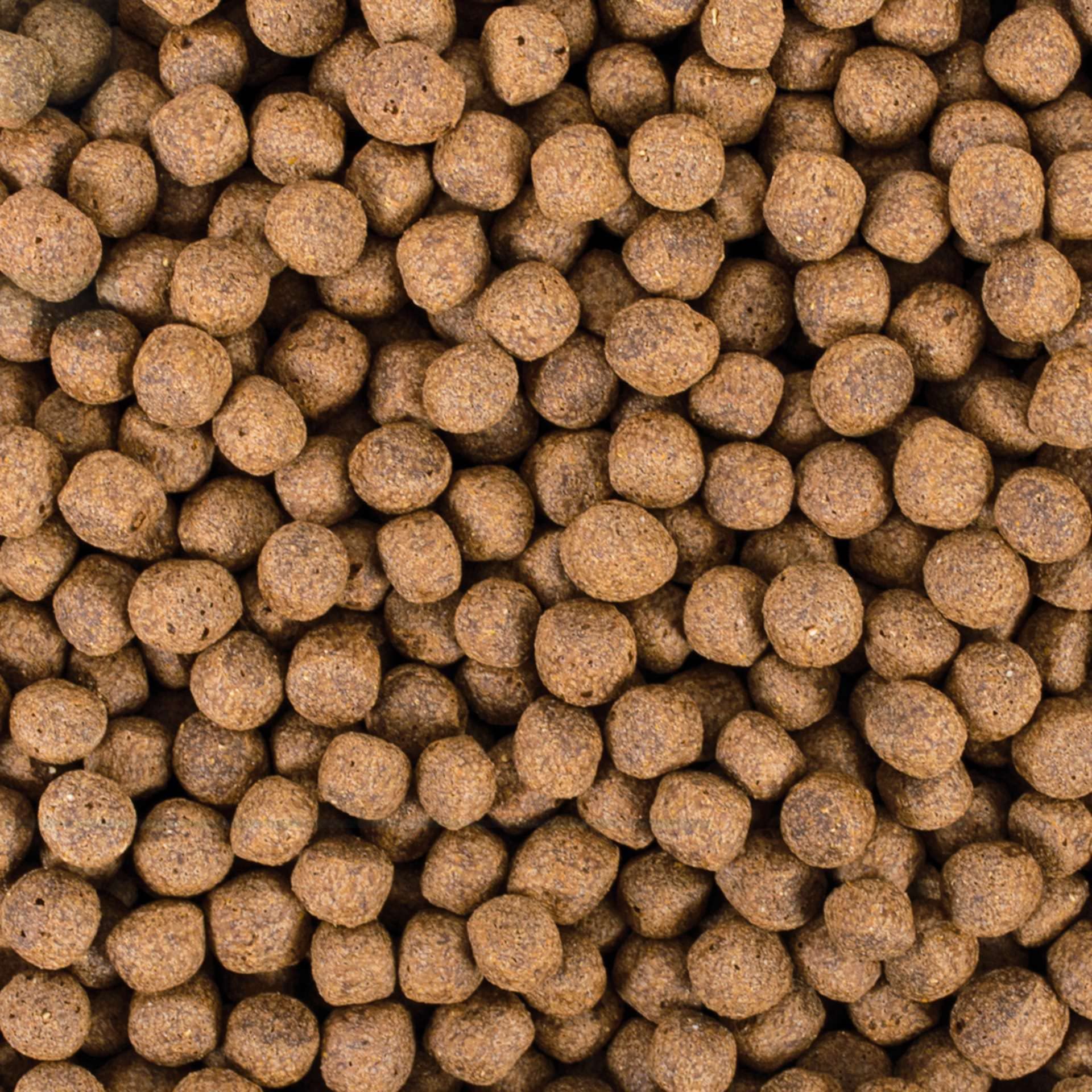 KOI PROBIOTIC SIZE L 7kg - mangime per pesci da laghetto di grandi dimensioni, mangime giornaliero per carpe koi per un ampio intervallo di temperatura dell'acqua da 8 a 30°C