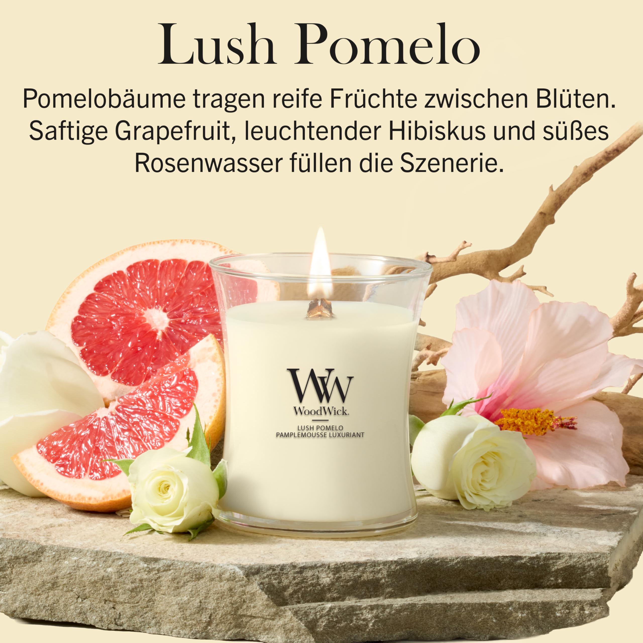 WoodWick | Mittlere Kerze | Saftige Pomelo | Tolles Geschenk für Frauen