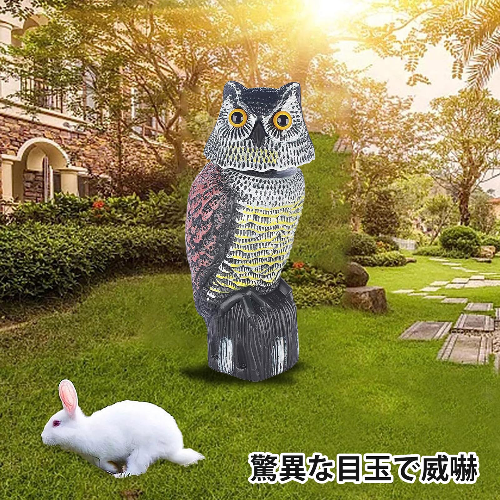 Amazon.co.jp: 鳥よけフクロウ フクロウの置物 風車式 手動 パドル
