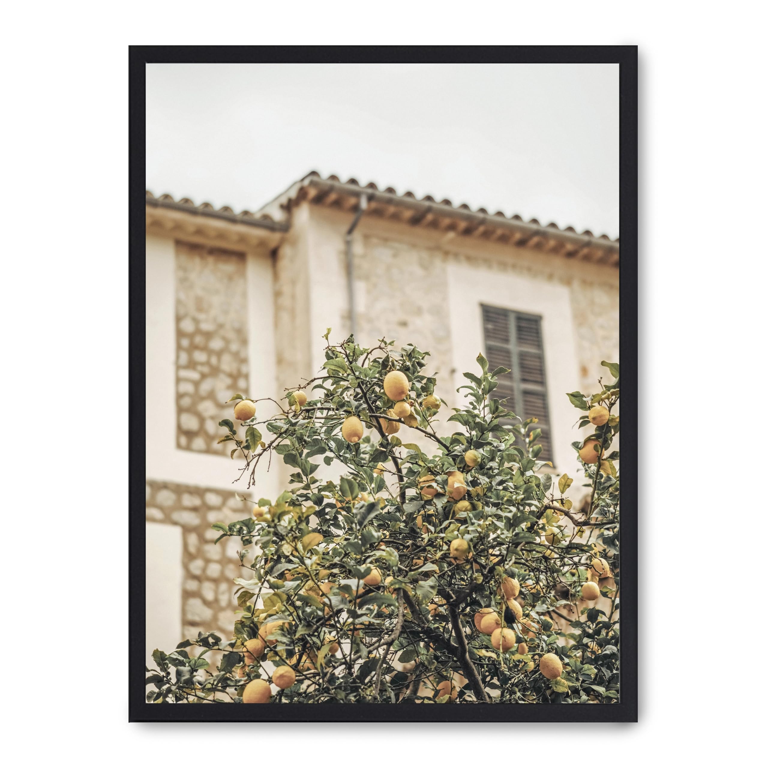 Cuadro lemon tree pour cuisine lumineuse et ambiance de Provence