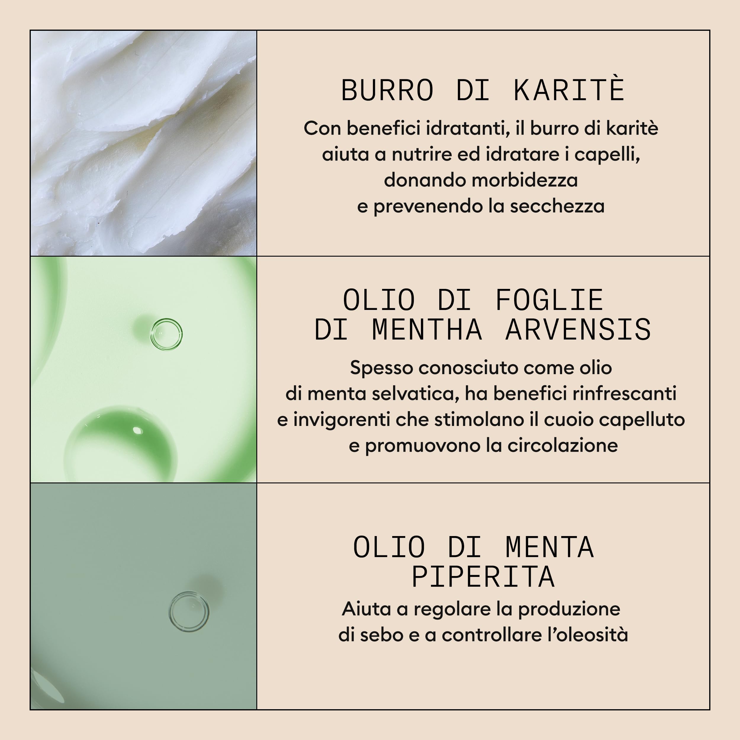 Nioxin Scalp Purifying Exfoliator - Trattamento Antiforfora Esfoliante per il Cuoio Capelluto - con Burro di Karité e Olio di Menta Piperita (50ml)