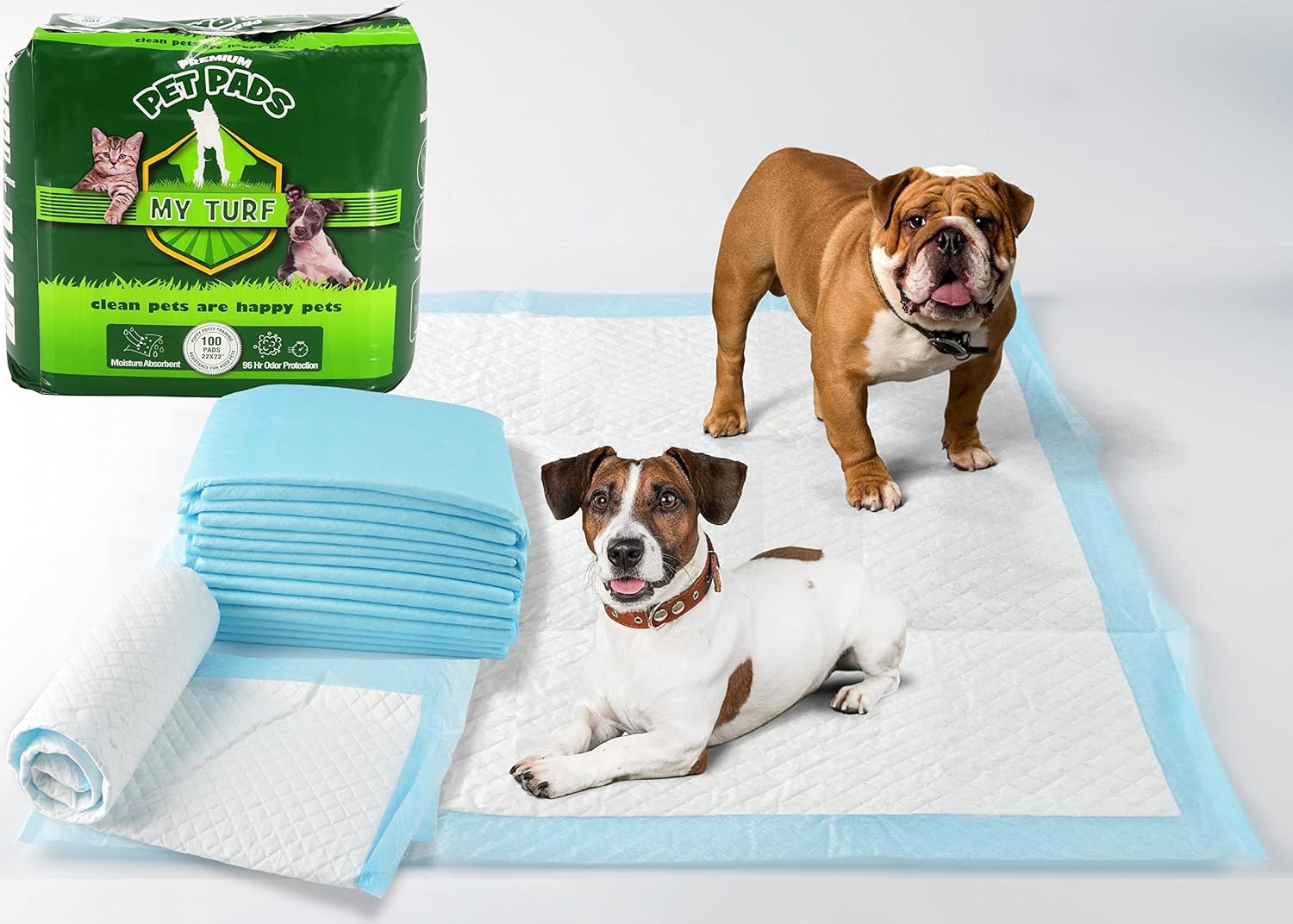 Dog and Puppy Pee Pads with 6-Layer Leak-Proof Design and Quick-Dry Surface for Potty Training, X-Large, 22 x 22 Inch - Pack of 100, Blue & White