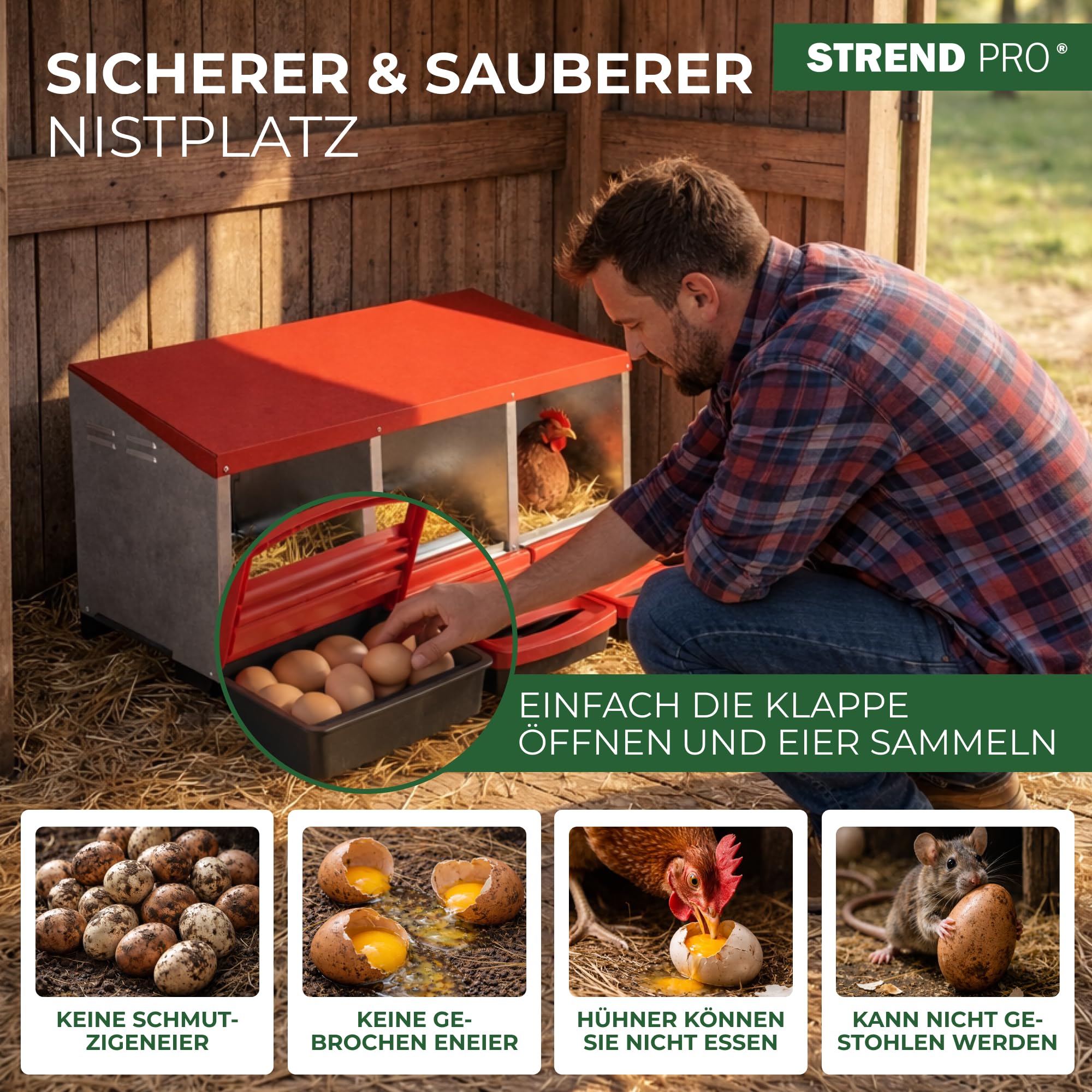 STREND PRO Legenest Für 10 Hühner – 3-kammerig Aus Metall Mit Abrollnest-Funktion