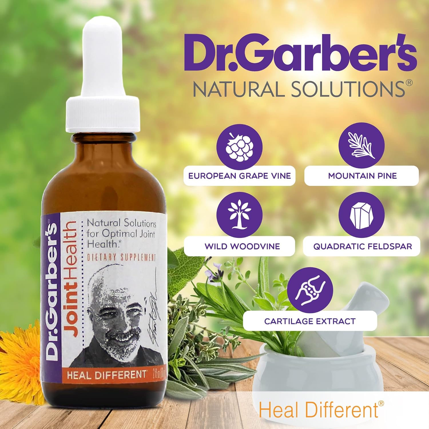 Dr. Garber's Natural Solutions Joint Health Oral Drops - Gemmotherapy Liquid Supplement for Healthy Joint Support & Function, Joint Repair, and Improved Mobility & Flexibility - 60ml