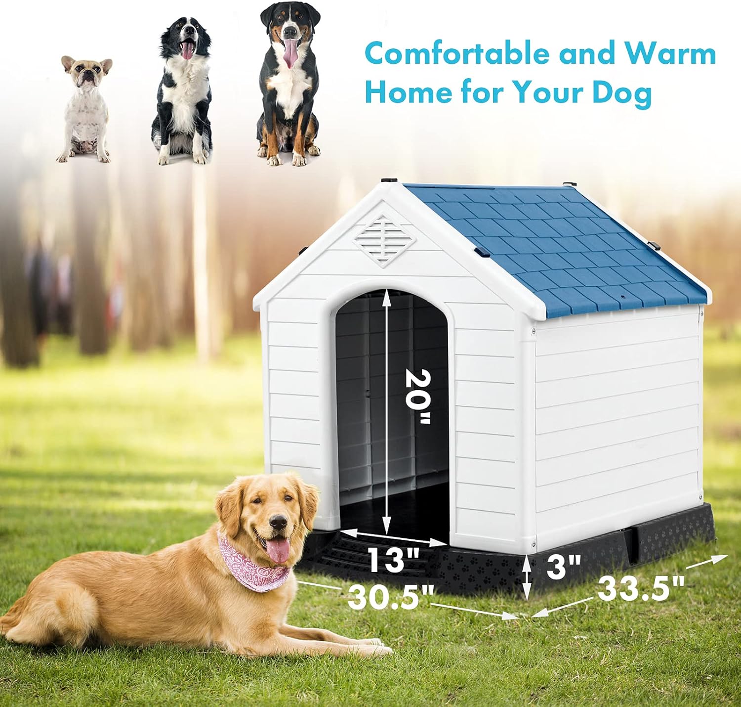 Get the Best Shelter: Review of the Large Plastic Dog House for Big Breeds