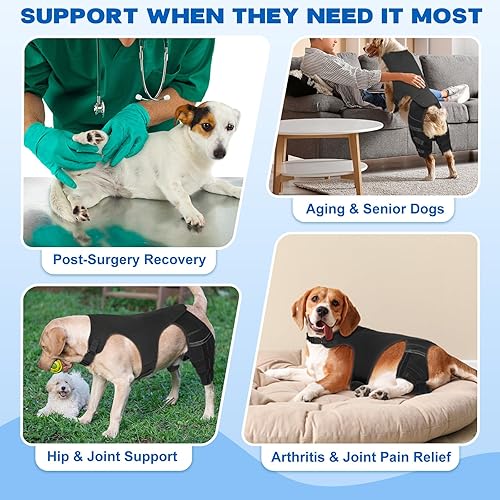 Miniatura 3 de Rodillera para perro para pierna trasera desgarrada del ACL – Soporte ajustable para la pierna trasera del perro con 4 estabilizadores de metal