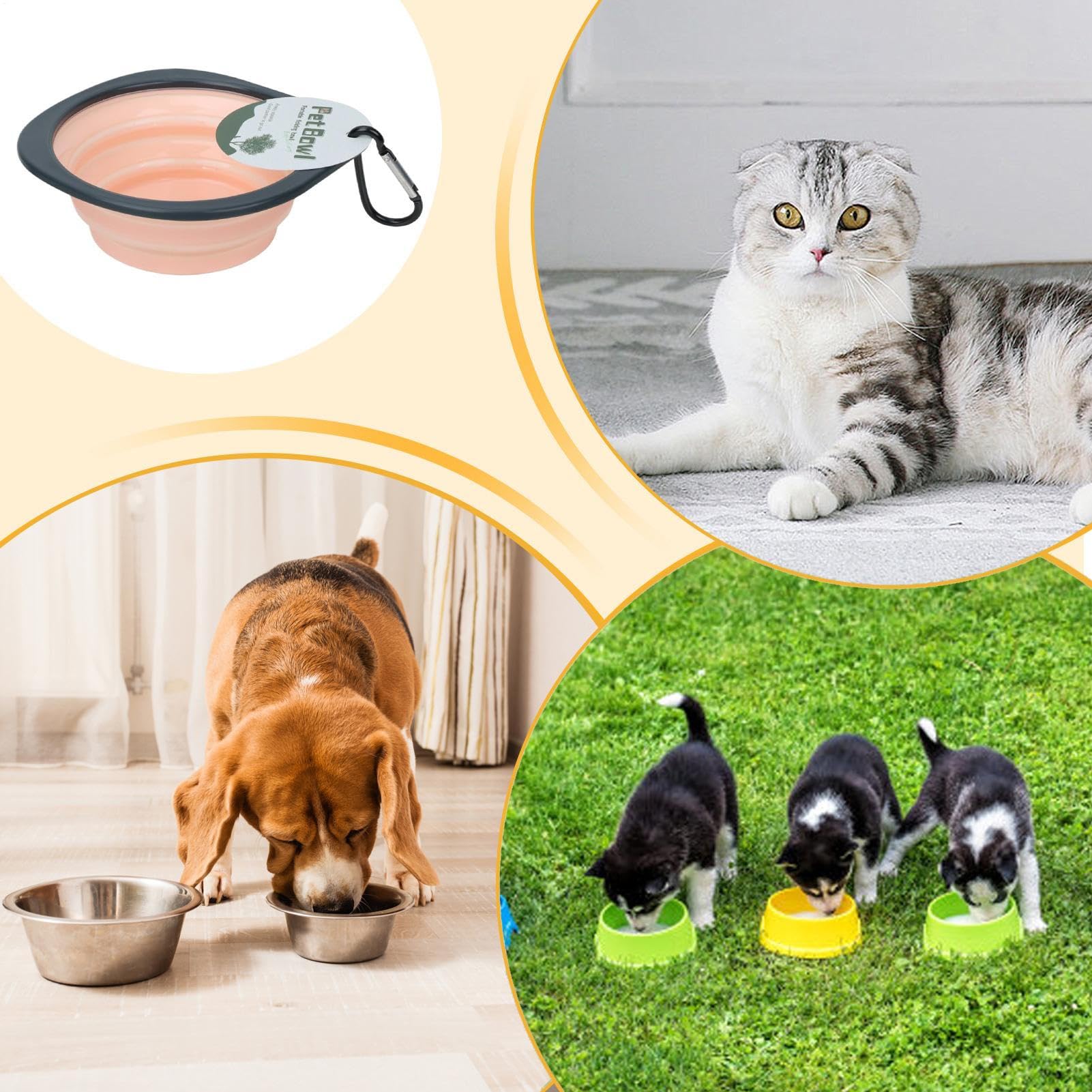 Foldable Dog Bowl, Portable Water Bowl Folding Dish, Food Container Feeder with Carabiner Clip, Travel-Friendly Pet Watering Dish for Outdoor Hiking, Walking, Camping Use, 15.7x14x1.1cm Blue Pink