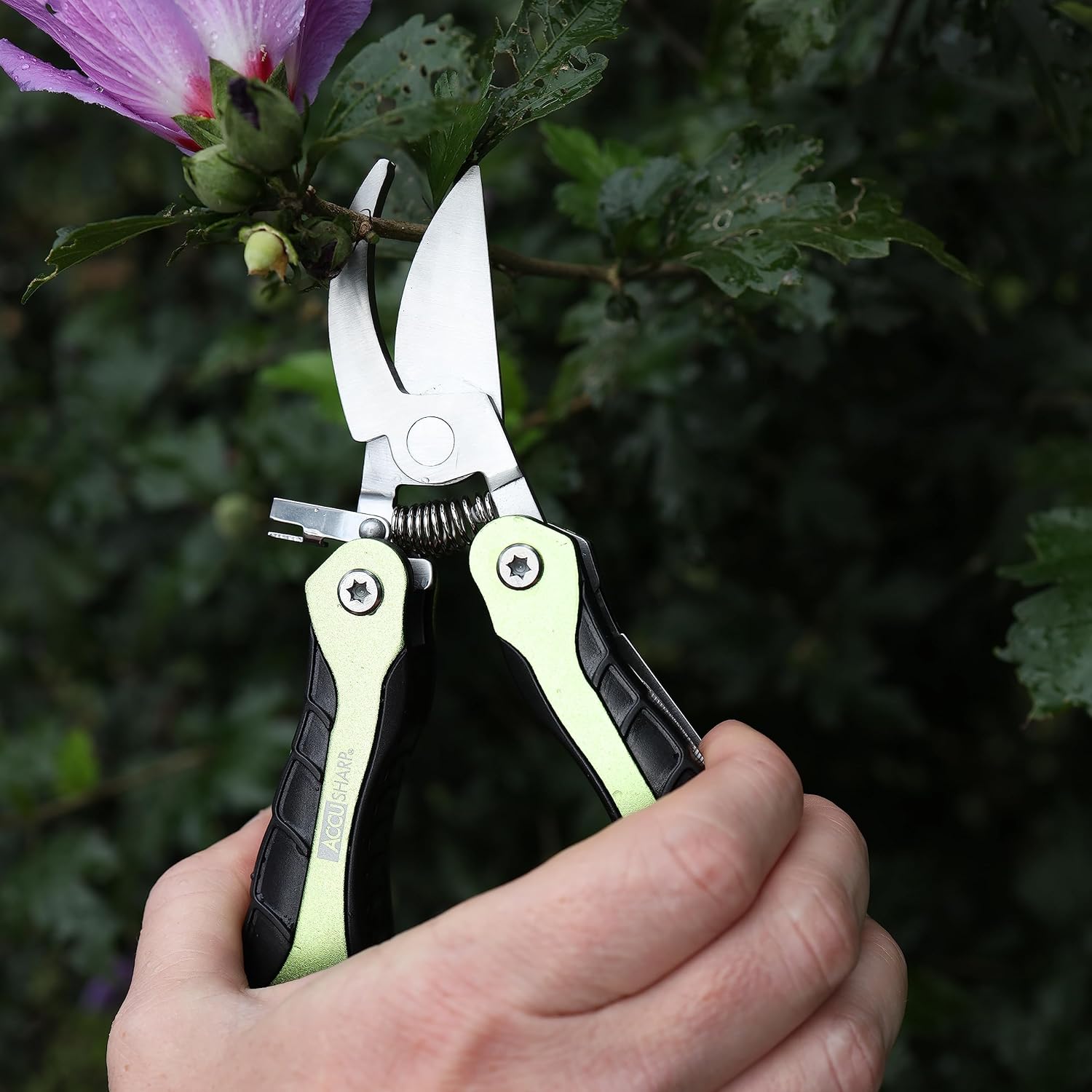 AccuSharp All-in-One Sharpener & Pruning Shears Multitool Bundle - All Purpose Sharpener for Knives, Garden Tools, and Scissors - 10-in-1 Multipurpose Garden Clippers with Screwdriver, Saw, Knife, Rul