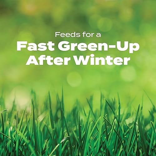 Miniatura 19 de Scotts Turf Builder fertilizante para césped - Con repelente para crabgrass HALTS