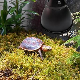 Reptile Light Fixture – Reptile Dome Light | Deep Domes Lampshade | Heat Basking Spot Holder Suitable for Terrariums, Vivariums, Reptiles Heating, Baskings Spots, Pet Care, and Habitat Lighting